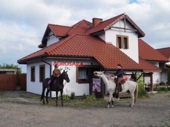 pszczew noclegi|Pszczew noclegi, nocleg w Pszczewie od 30zł: agroturystyka